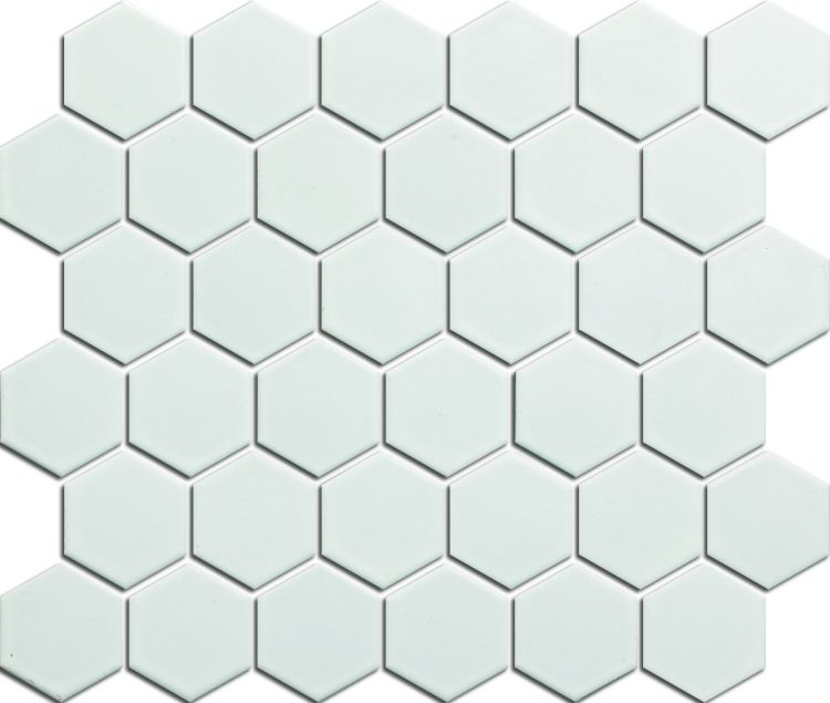 2x2 White Hexagon Matte